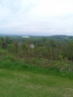 Looking out from the top of the hill where Ft. Plain once stood.
